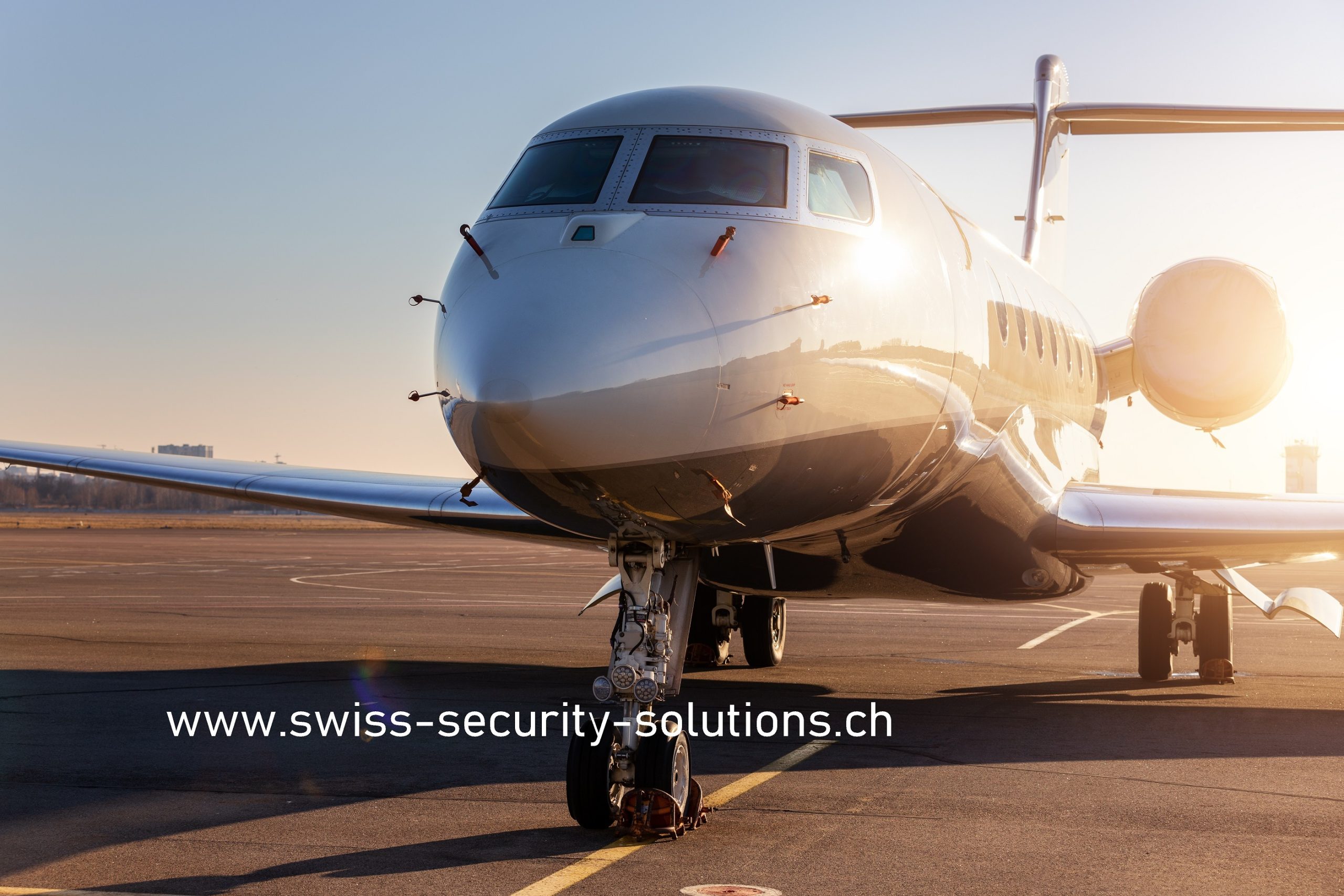 Swiss Security Solutions
