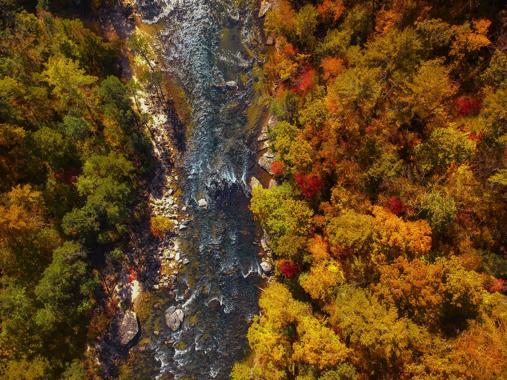 North Carolina’s Lithium Treasure: The Carolina Tin-Spodumene Belt and Its Potential Amidst Natural Disasters