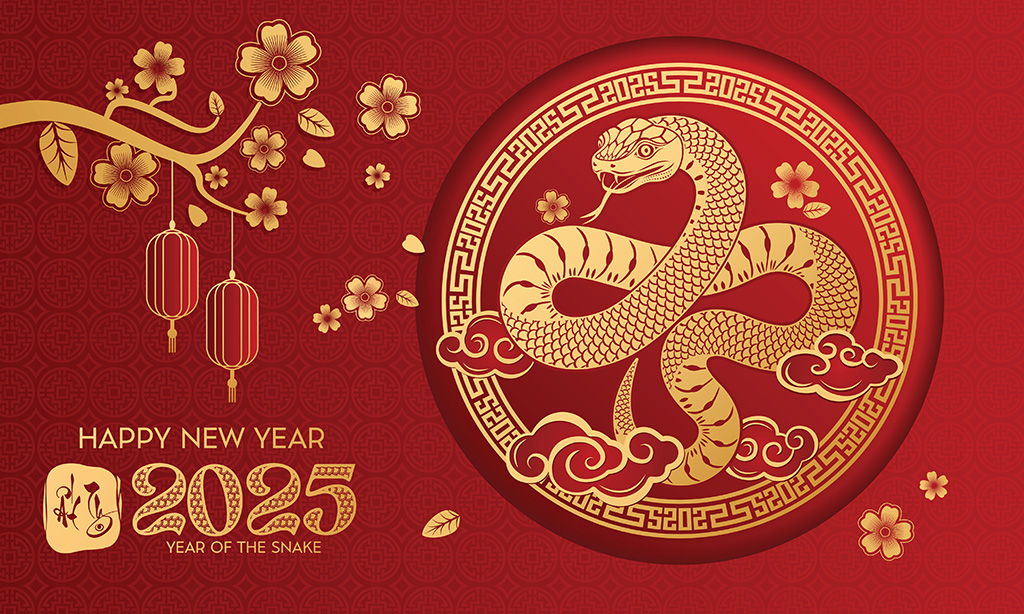 Happy Chinese New Year 2025