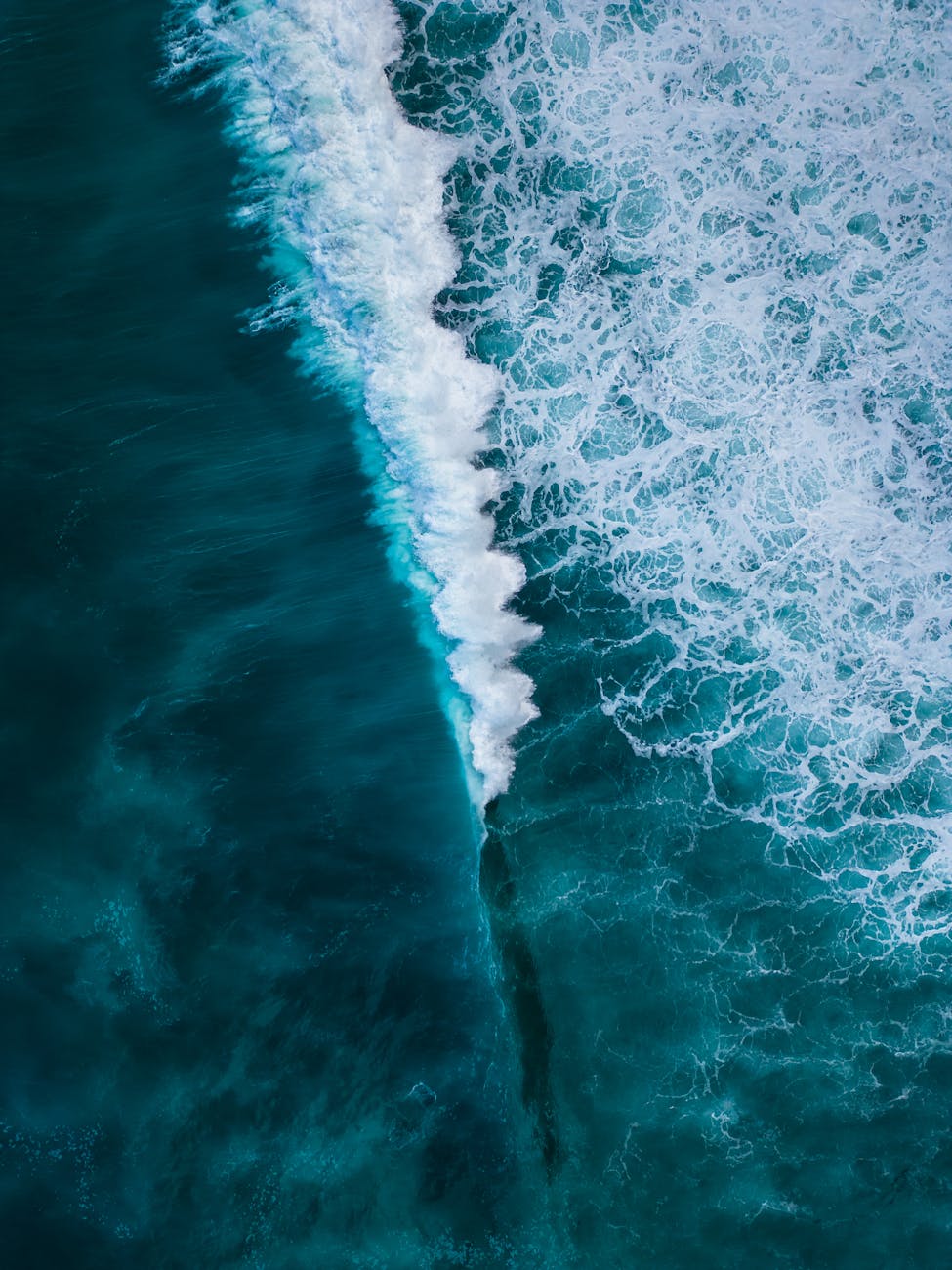 Blue Bonds: Financing a Sustainable Ocean Economy
