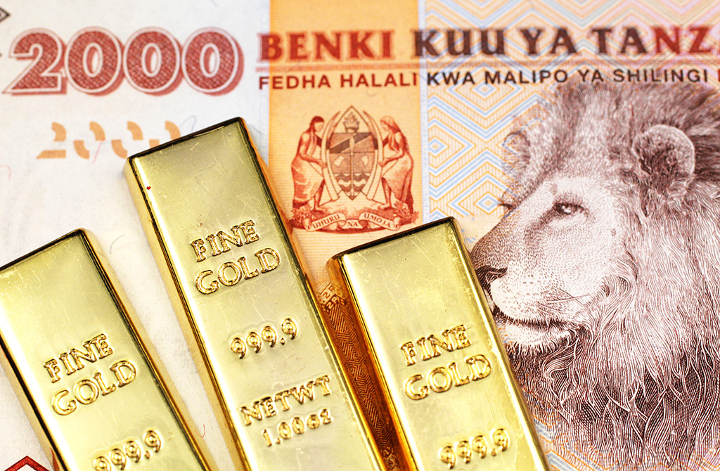 Seeking Investors for Promising Gold Mine in Tanzania’s Tanga Region