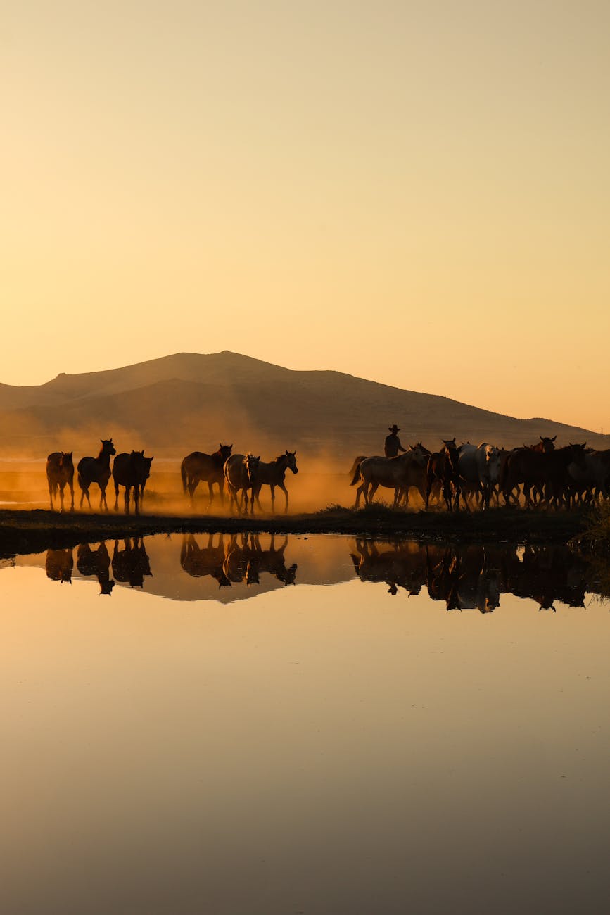 British Columbia Ranches: Extraordinary Value in Scarcity