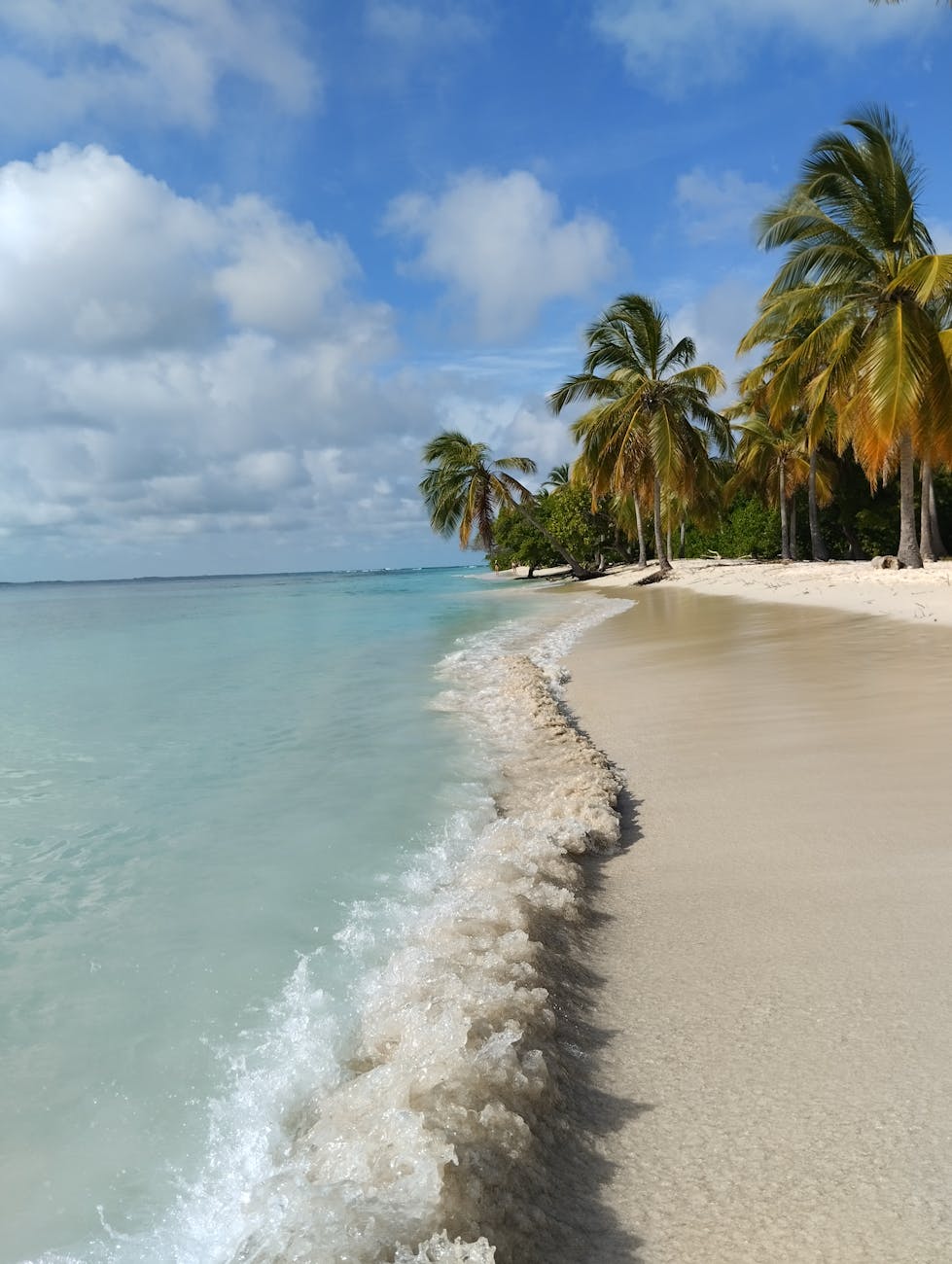 Venezuela Real Estate: The Next Great Tropical Rebirth?