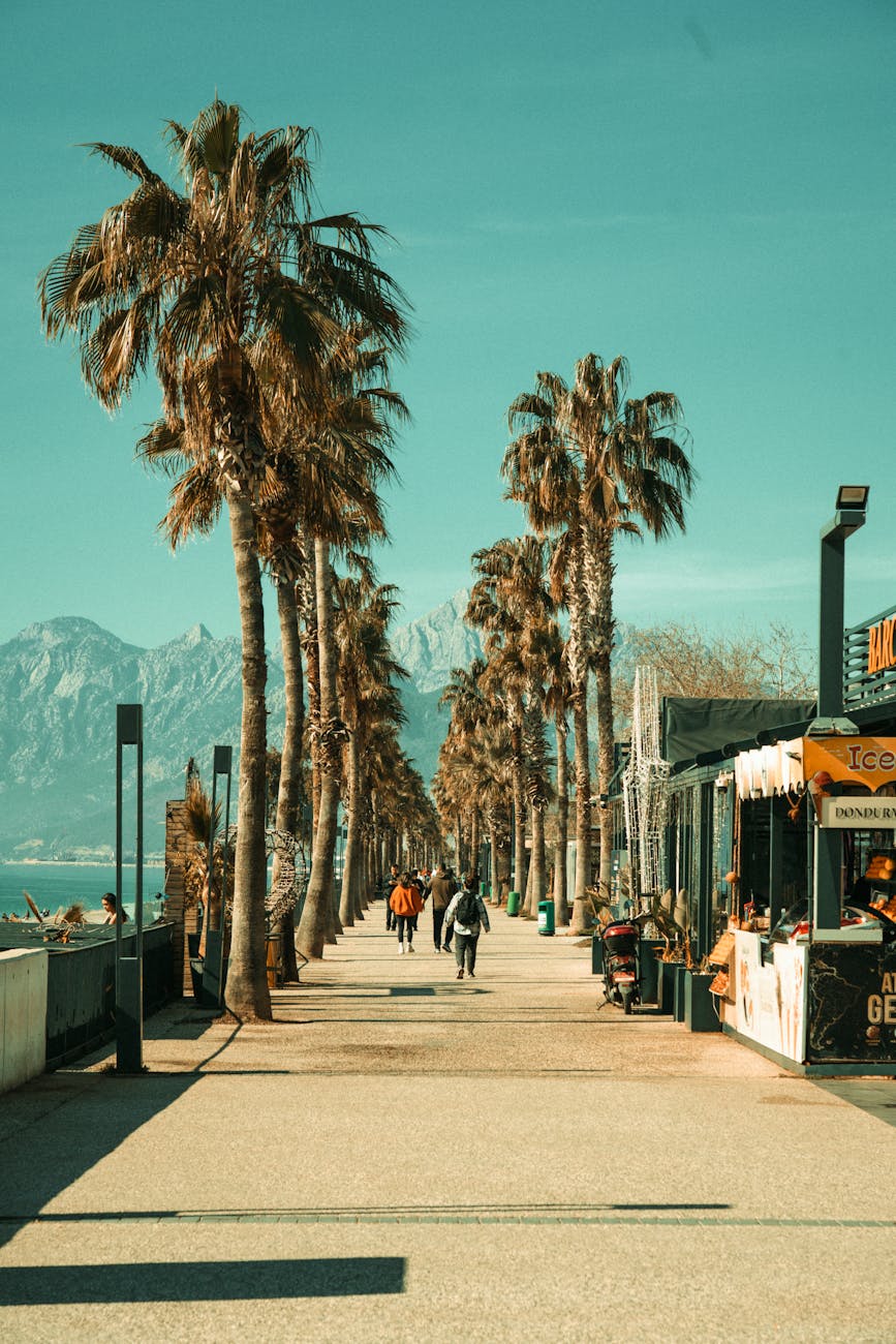 promenade with palm trees in antalya turkiye